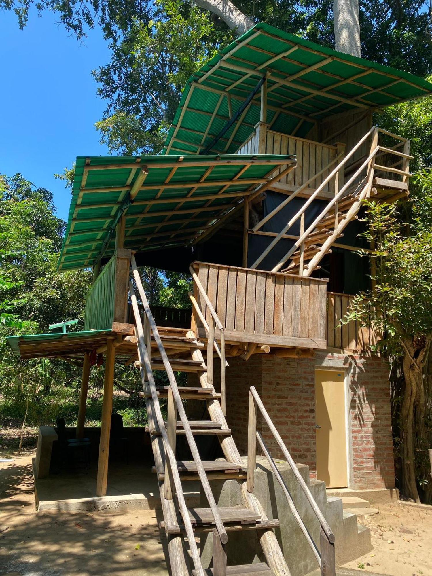Forest Tree Top Holiday Resort Buttala Eksteriør billede